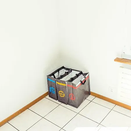 ヴィラ Ausfinn-apartments, Swiss