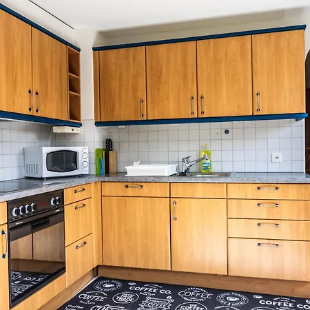 Ausfinn-apartments, Swiss Villa *